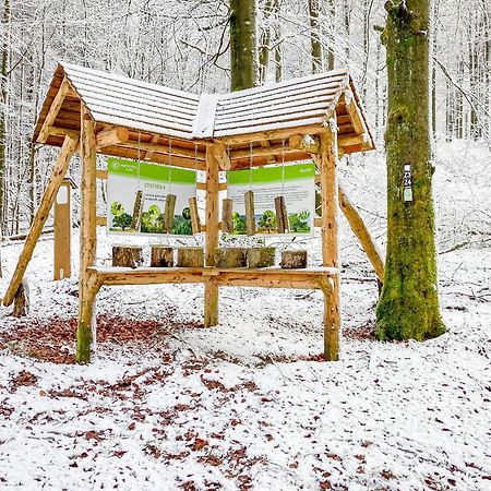 Alte Schule Winterberg Luxury Apartments Екстериор снимка