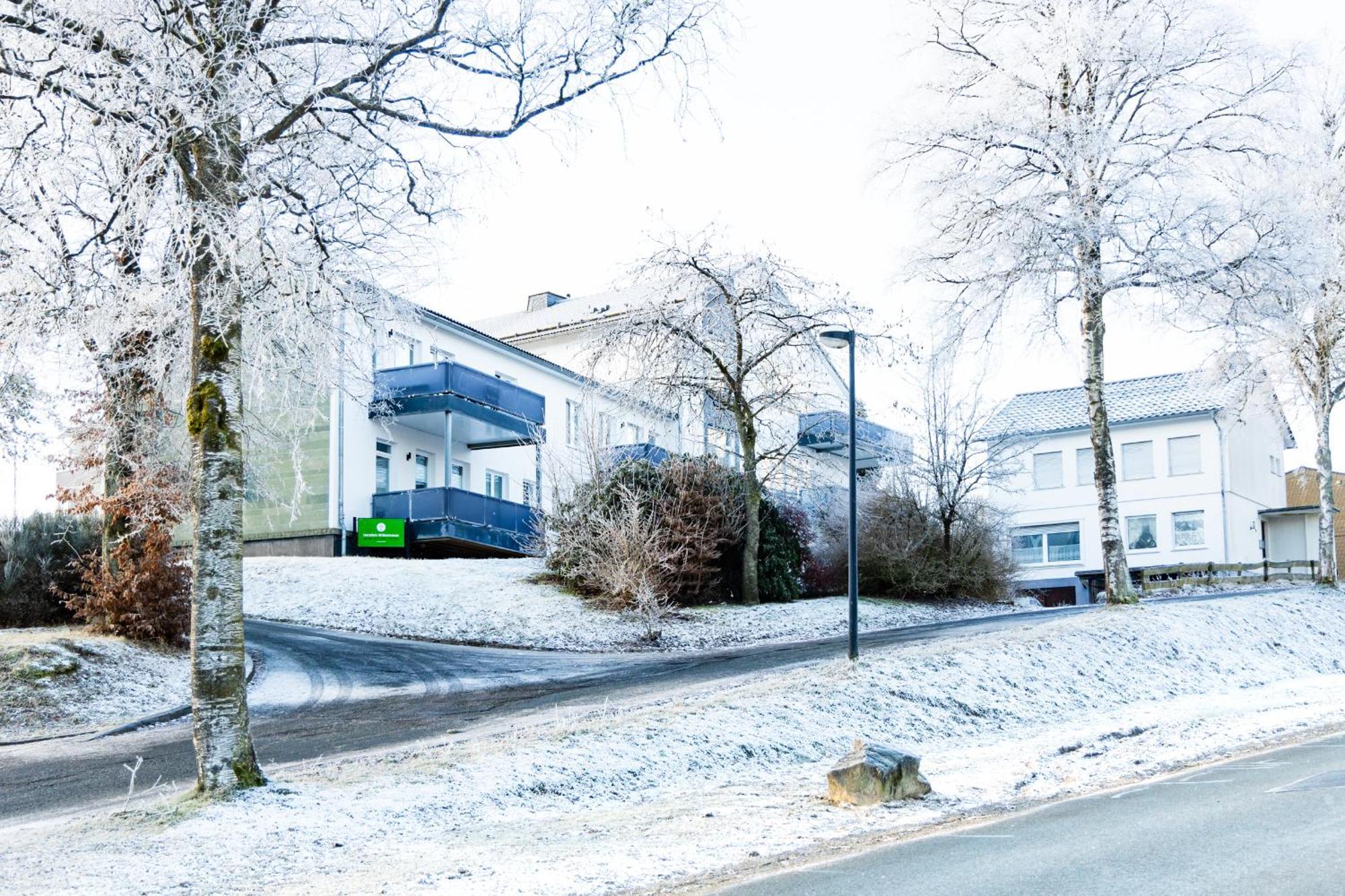 Alte Schule Winterberg Luxury Apartments Екстериор снимка